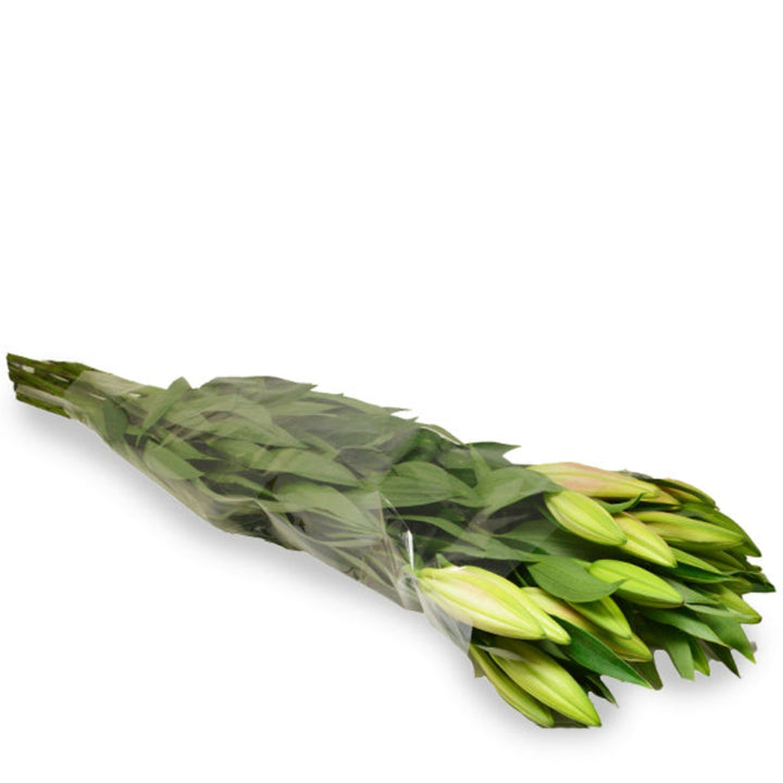 Pink Oriental Lilies from Flowranow with scented, large blooms on 10 stems, perfect for floral arrangements.