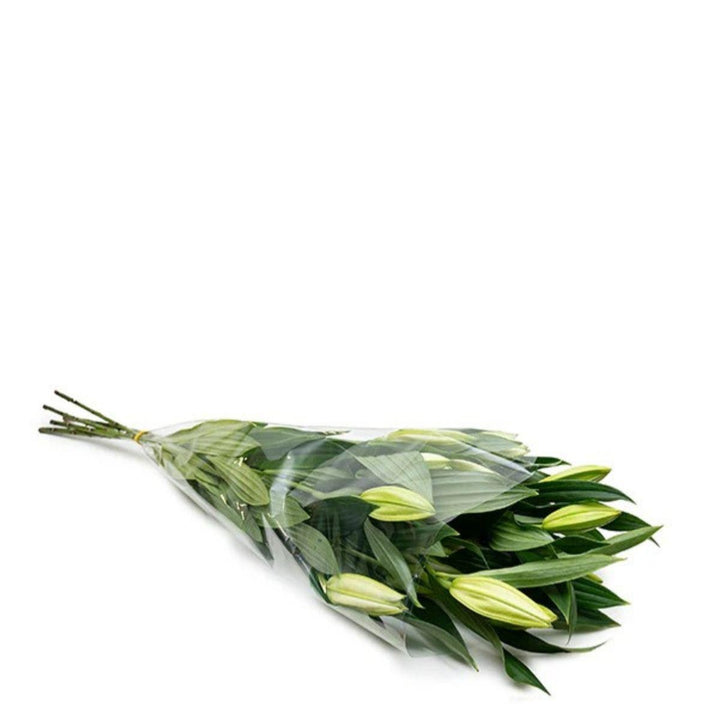 Elegant soft pink Oriental lilies from Fresh Flower Holland, five scented XL flower stems arranged beautifully.