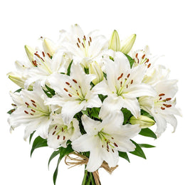Lilies, Oriental, Scented, XL, White, Dutch, 5 Stems
