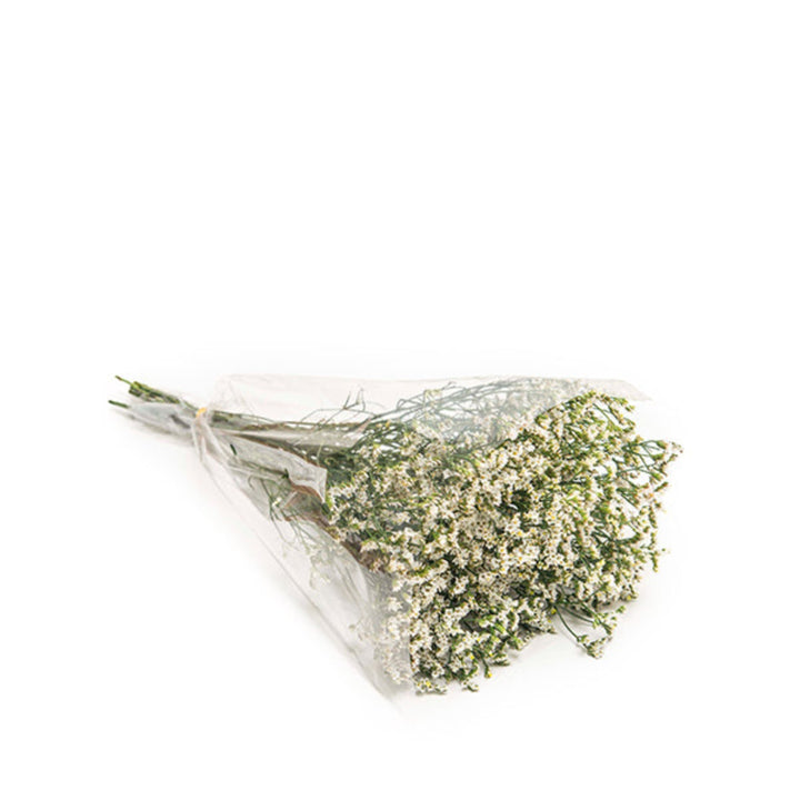 White Limonium flowers on 10 stems from SQ Flora Kenya, showcasing delicate purple-tinted blossoms ideal for floral arrangements.