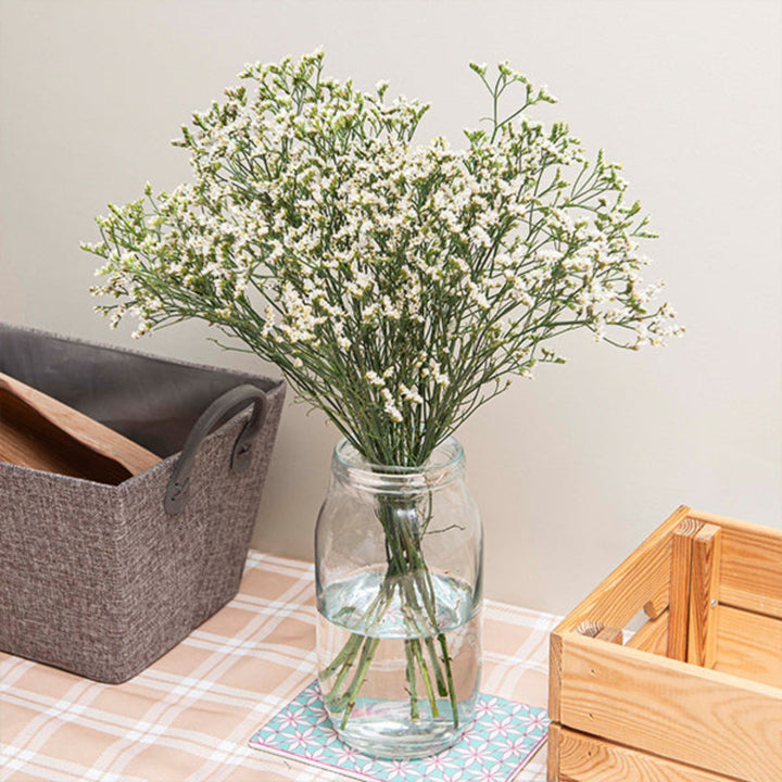 White Limonium flower stems from SQ Flora Kenya, showing delicate clusters of tiny white flowers on long green stems.