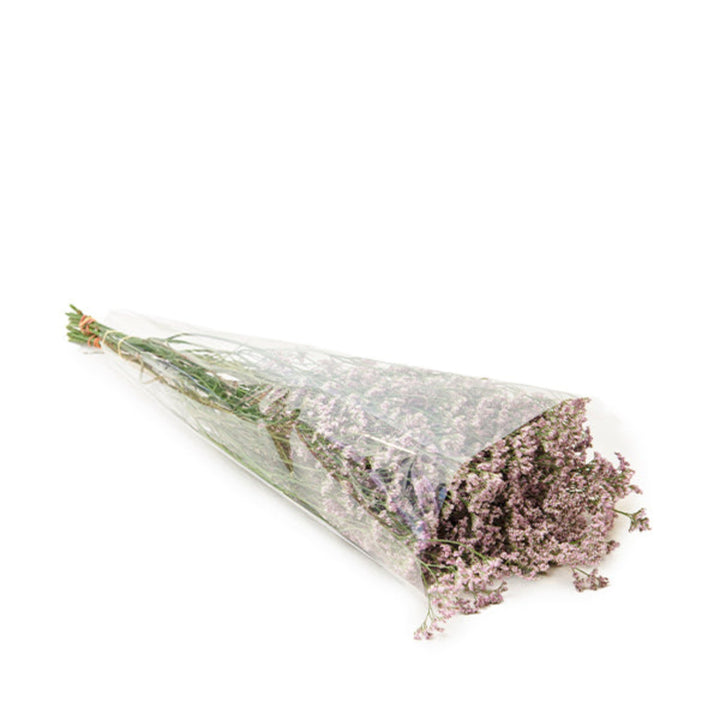 Pink Limonium flower stems from SQ Flora Kenya, showcasing delicate blossoms on multiple stems.