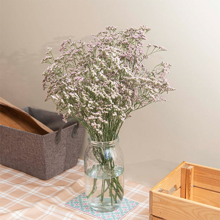 Pink Limoniums flower stems from SQ Flora Kenya with 10 stems, showcasing delicate blooms perfect for floral arrangements.