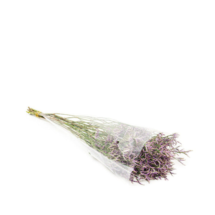 Dark blue Safora Limonium flower stems from Black Tulip, showing delicate clusters of tiny blossoms on 10 stems.