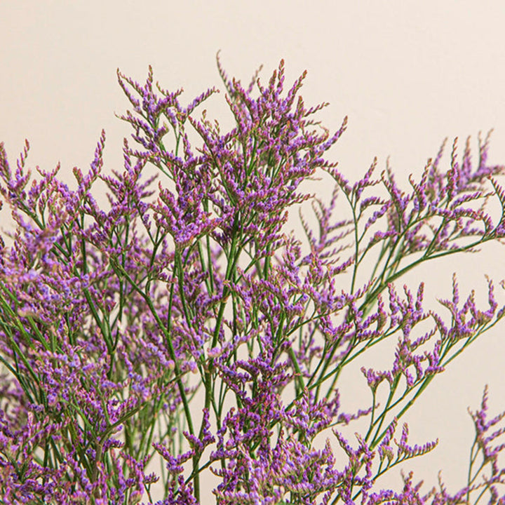 Dark blue Safora Limonium flowers on 10 stems, arranged with green foliage, showcased by Black Tulip floral brand.