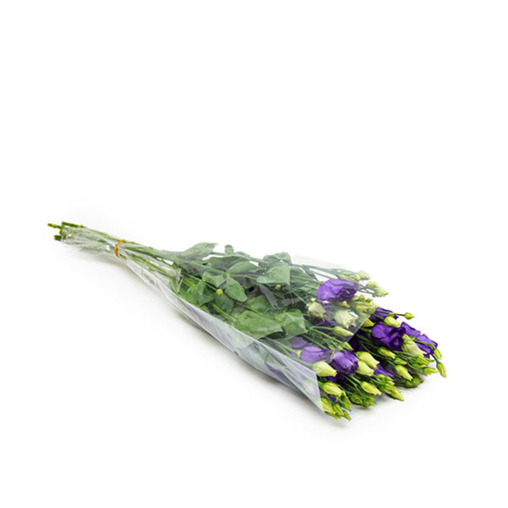 Blue Lisianthus Eustoma Rosita flowers in a bouquet, featuring 5 stems with delicate petals from Fresh Flower Holland.