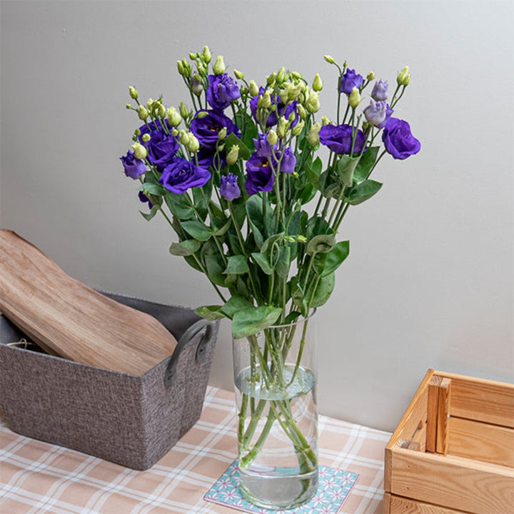 Blue Lisianthus Eustoma Rosita flower stems from Fresh Flower Holland, showcasing five vibrant blooms with green foliage.