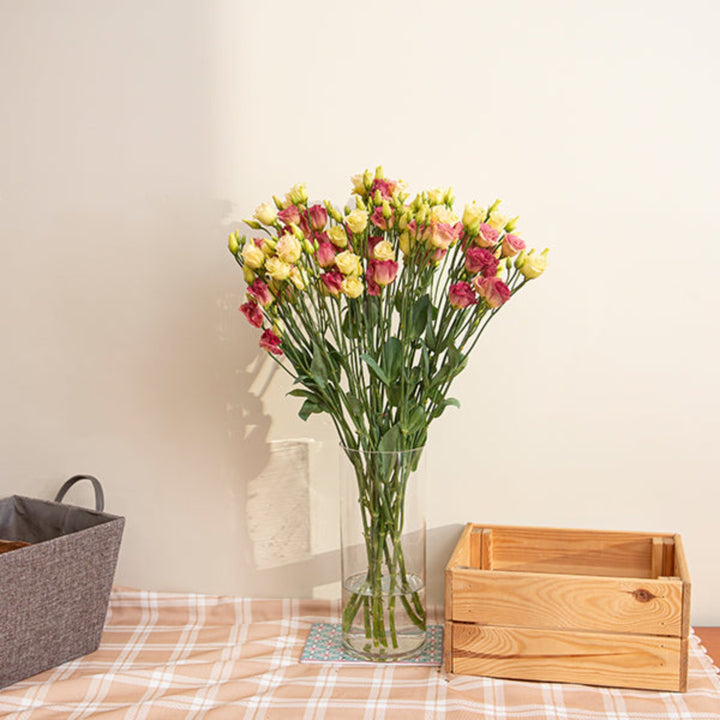 Fresh Lisianthus Eustoma Croma Champagne flowers in a bouquet with 10 stems from Fresh Flower Holland.