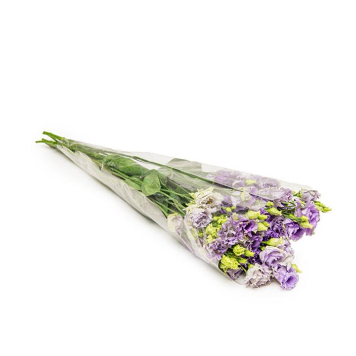 Five stems of Fresh Flower Holland Lisianthus Eustoma Blue Alissa with vibrant blue blooms and green foliage.
