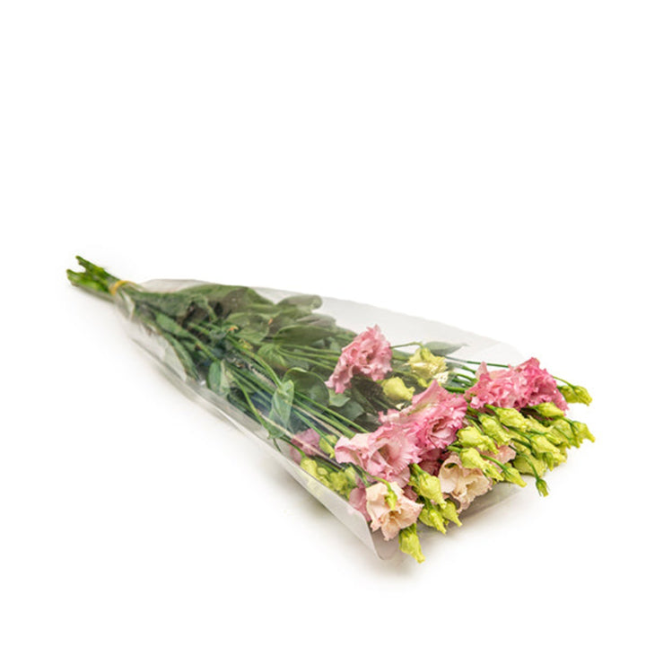 Pink Lisianthus (Eustoma Pink Alissa) flower stems from Fresh Flower Holland displayed in the image.