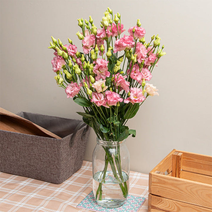 Pink Lisianthus (Eustoma Alissa) flower stems from Fresh Flower Holland, featuring five elegant pink blooms.