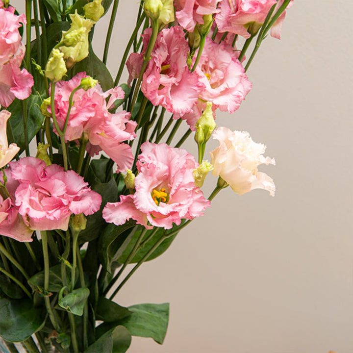 Pink Lisianthus flowers with five stems, fresh Eustoma Pink Alissa from Fresh Flower Holland arranged in a bouquet.