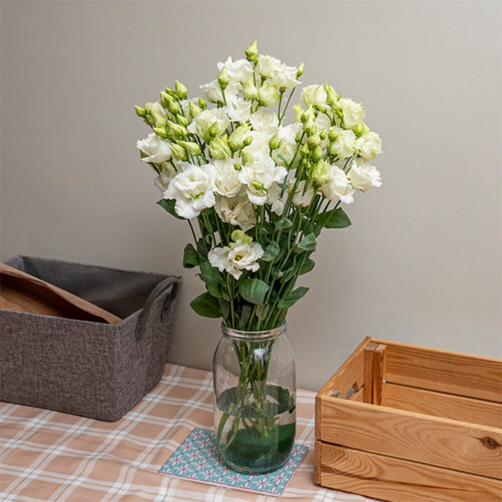 Five stems of Fresh Flower Holland Alissa White Lisianthus flowers with delicate white petals and green foliage.