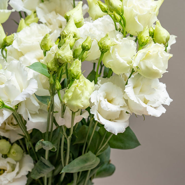 Fresh Lisianthus flowers, Alissa White variety, 5 stems with delicate petals, from Fresh Flower Holland.