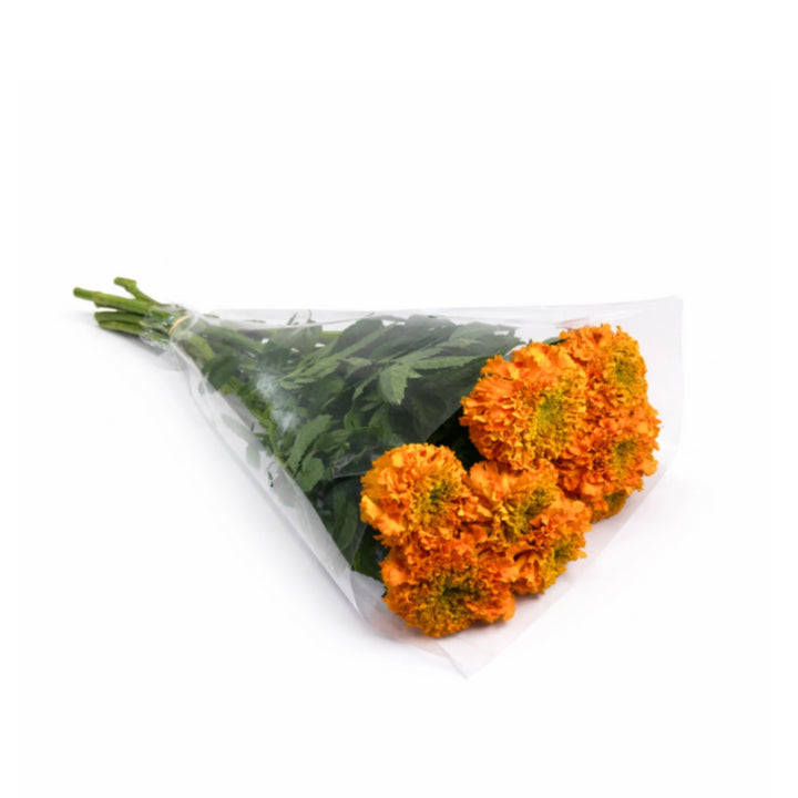 Fresh marigold flower stems from SQ Flora Kenya, showcasing vibrant orange blooms and green foliage on multiple stems.