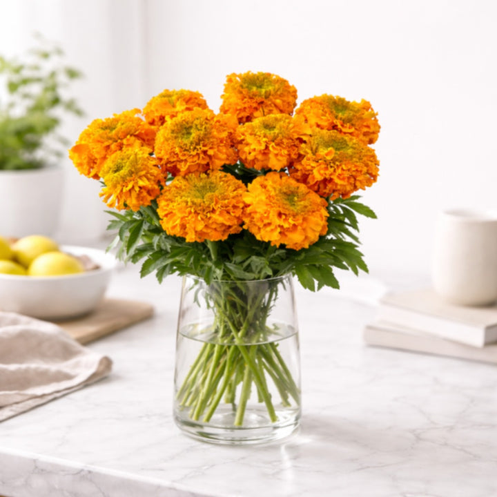 Bright yellow marigold flower stems from SQ Flora Kenya, showcasing vibrant blooms and lush green foliage.
