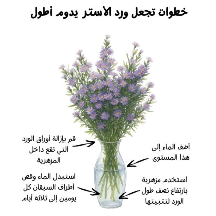 Light purple Aster flowers from SQ Flora Kenya, showing 10 stems of vibrant, fresh blooms in a natural floral arrangement.