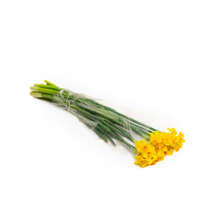 Fresh Narcissus Tazetta Soleil D'OR flowers with 10 stems, scented bloom from Fresh Flower Holland displayed in a natural arrangement.