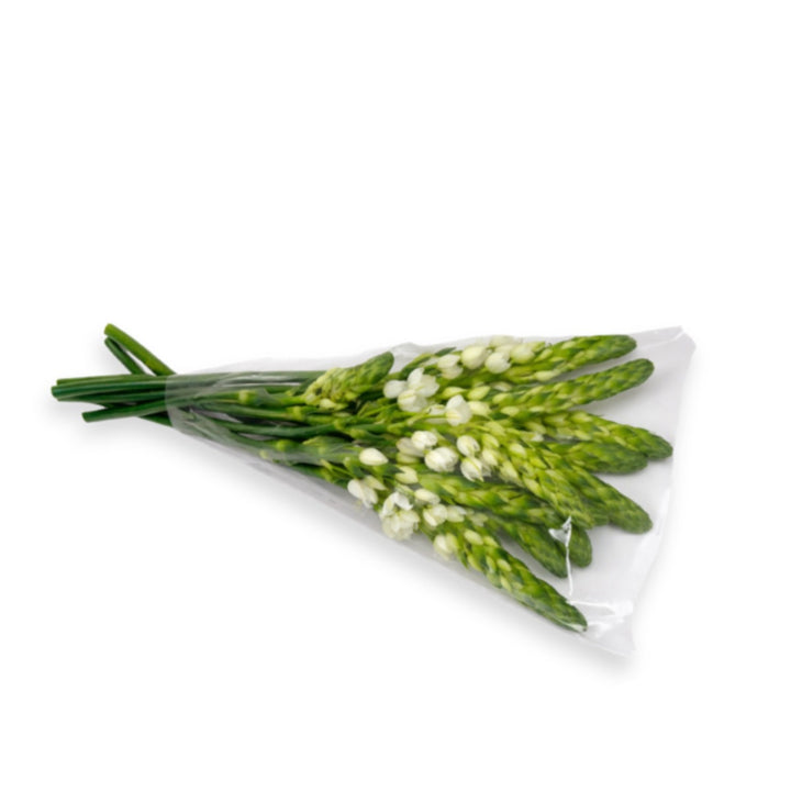 Bouquet of 10 Ornithogalum Milky Way flowers from Vegpro Kenya with white blooms and green stems, arranged in a natural display.