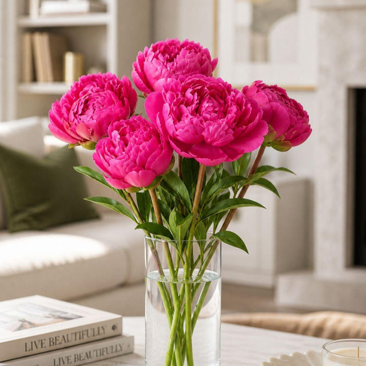 Fresh Flower Holland cerise peony flower stems, five vibrant blooms with lush green foliage, perfect for floral arrangements.