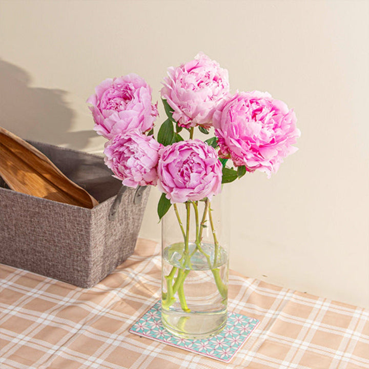 Fresh pink Sarah Bernhardt peony flowers, 5 stems, showcasing lush blooms and vibrant petals from Fresh Flower Holland.