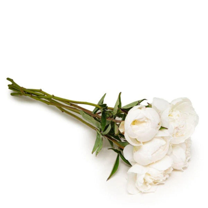 White peony flowers on five stems, fresh floral arrangement from Fresh Flower Holland, showcasing delicate, lush blooms.