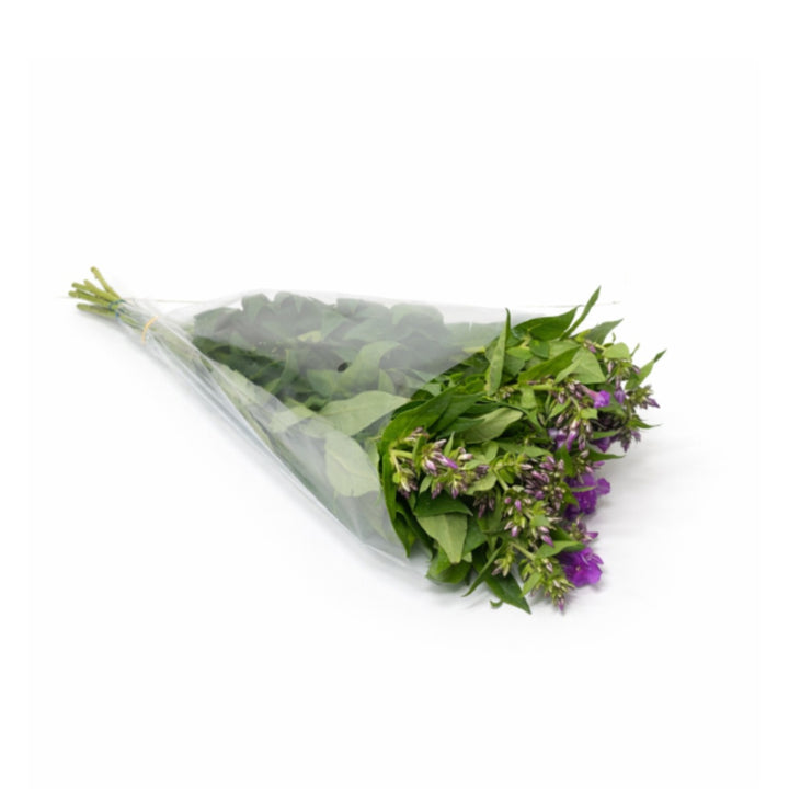 Purple Phlox flowers from SQ Flora Kenya, 10 stems, showing vibrant blooms and lush green stems in a natural arrangement.
