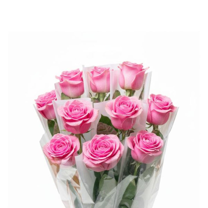 Pink rose flower stem from SQ Flora Kenya, individually wrapped, showcasing fresh, vibrant petals and green foliage.