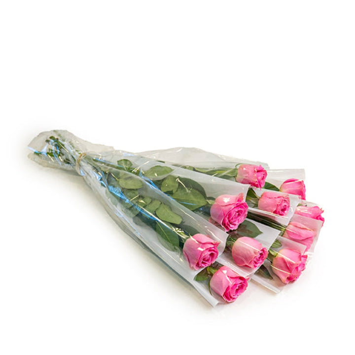 Pink rose flower from SQ Flora Kenya, single stem with vibrant petals, individually wrapped for freshness.