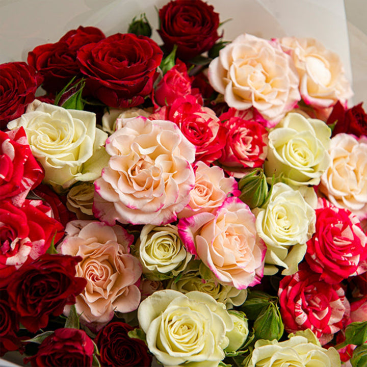 Pink Whisper Bouquet with 12 stems from Mix Flower Bouquet, featuring soft pink flowers arranged in a lush floral bouquet.