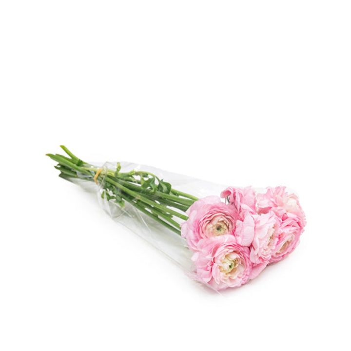 Ranunculus, Pink, 10 Stems - Sharbatly.Club