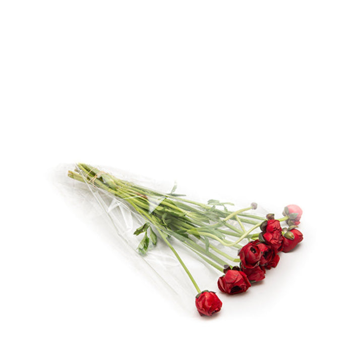 Ranunculus, Tango red Extra, 10 Stems - Sharbatly.Club