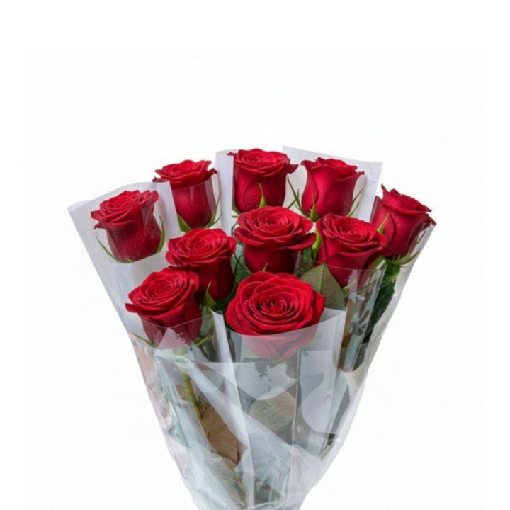 Red rose flower stem from SQ Flora Kenya, individually wrapped and fresh, perfect for gifting or floral arrangements.
