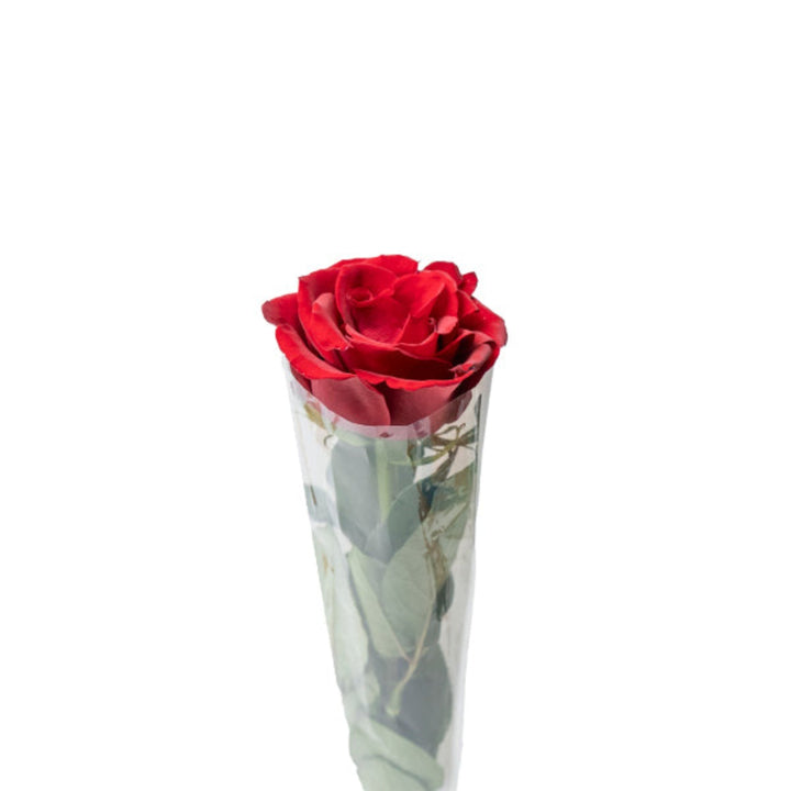 Single red rose flower by SQ Flora Kenya, showcasing a vibrant, fresh bloom with green leaves on a neutral background.