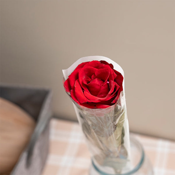 Single red rose flower from SQ Flora Kenya, showcasing a vibrant, fresh bloom with lush green leaves on a clean background.
