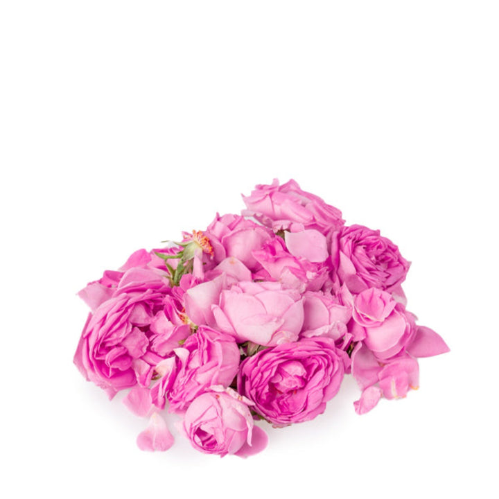 Organic Rose Madinah Damask flower in a 0.1kg pack, showcasing vibrant pink petals and fresh, natural blooms.
