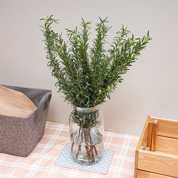 Fresh rosemary flower stems from Black Tulip, showcasing vibrant green herbaceous sprigs with delicate blossoms.
