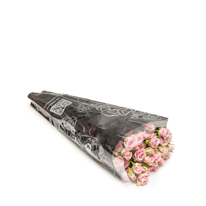 Bouquet of 10 Roses Baby Leila flowers by SQ Flora Kenya, vibrant pink and white blooms arranged in a clear glass vase.