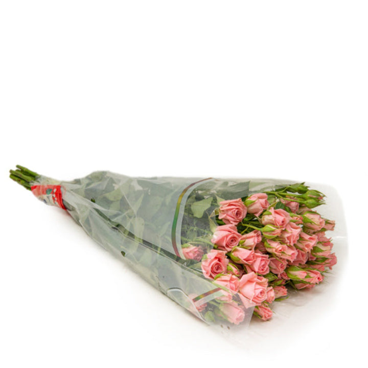 Baby pink roses from SQ Flora Kenya, 10 stems of fresh, vibrant flowers arranged in a bouquet.