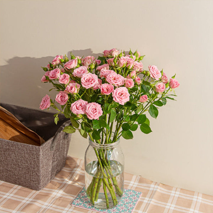 Baby pink roses from SQ Flora Kenya with 10 stems, showcasing fresh, delicate flower blossoms arranged together.