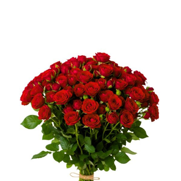 Red roses baby roses bouquet with 10 stems from SQ Flora Kenya, fresh flowers with vibrant blooms and green foliage.