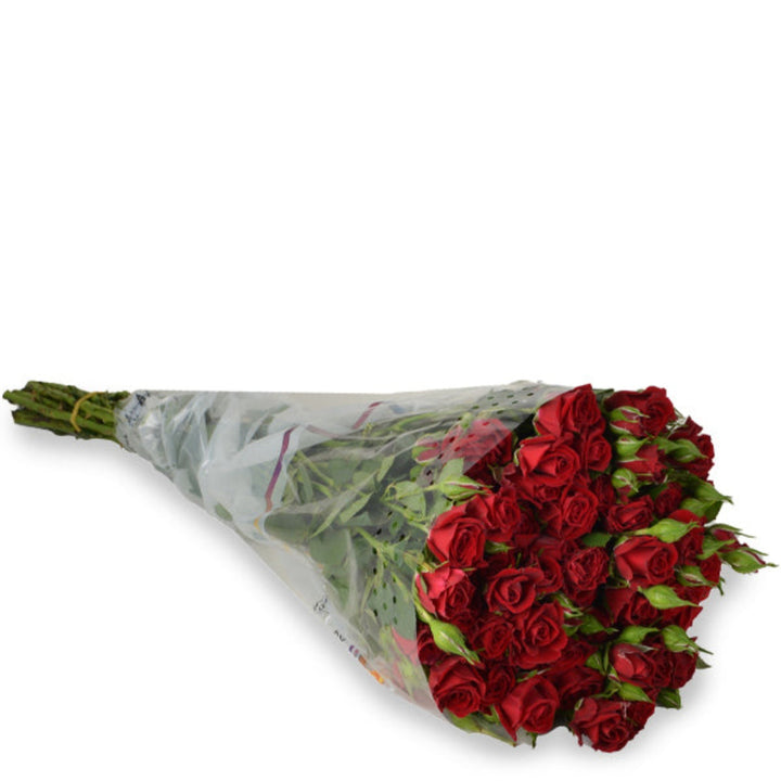 Bouquet of 10 red roses from SQ Flora Kenya, fresh flower stems with vibrant blooms for special occasions.