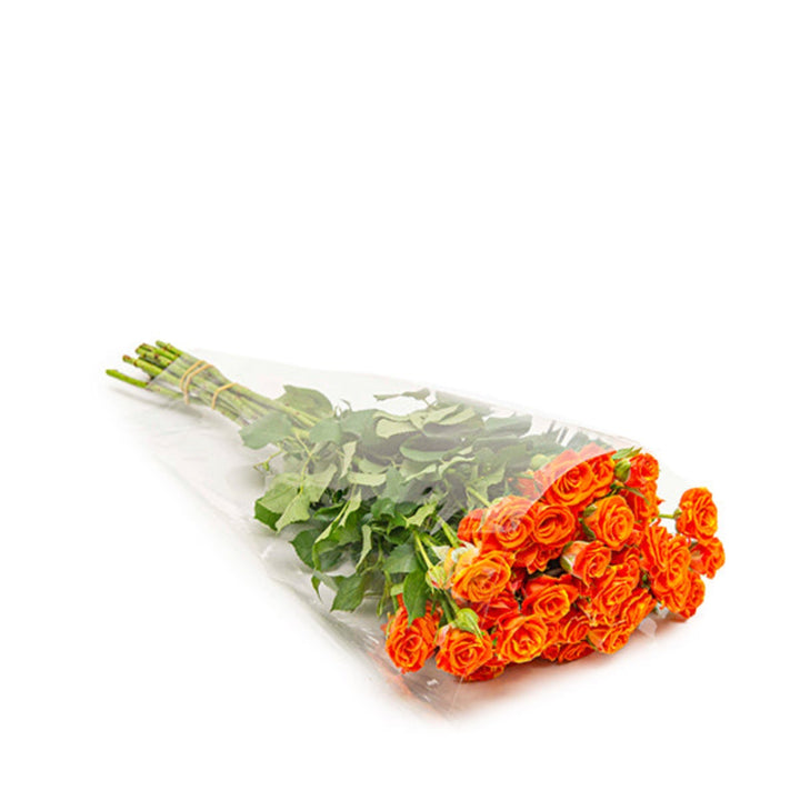 Bouquet of 10 Roses Baby Smashing flowers by SQ Flora Kenya, fresh pink and white blooms arranged in a natural style.