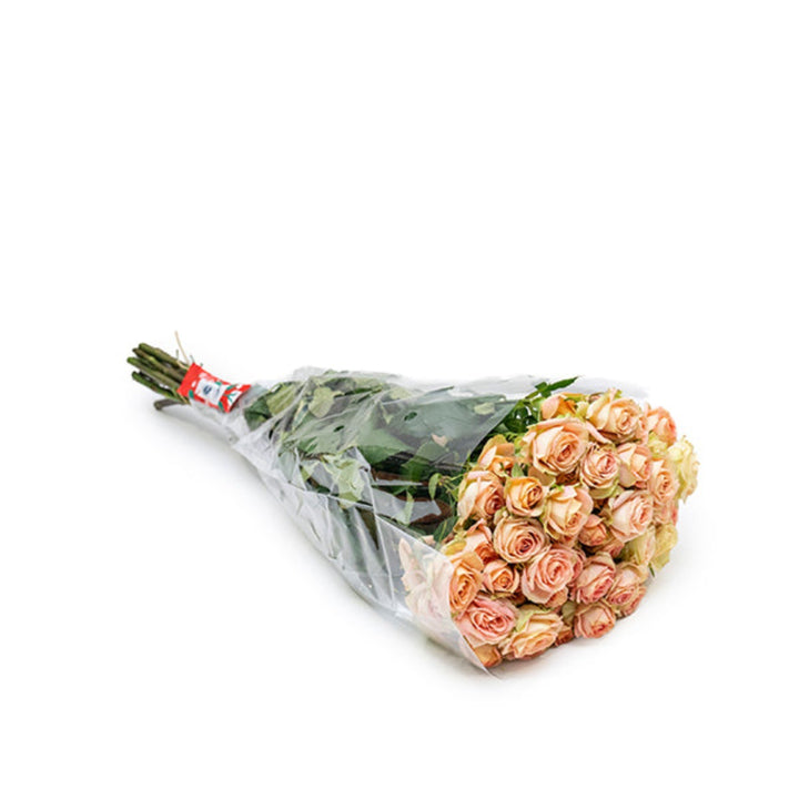 Pink Roses Baby Azore cream, 10 stems from SQ Flora Kenya, fresh flower bouquet with delicate pink blooms.