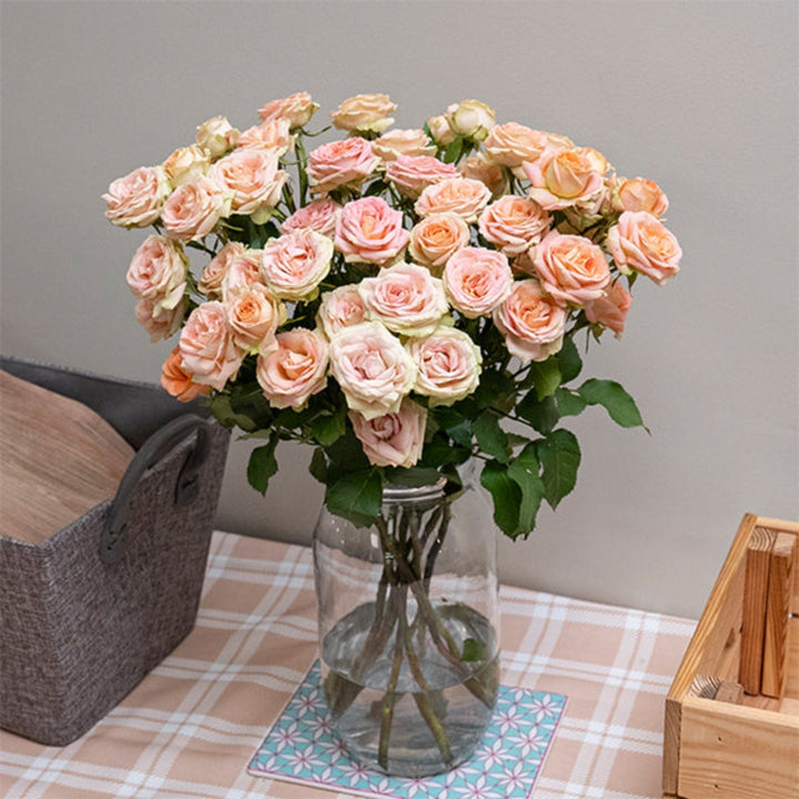 Bouquet of 10 pink Roses Baby Azore cream flowers by SQ Flora Kenya, fresh and vibrant with lush green stems.