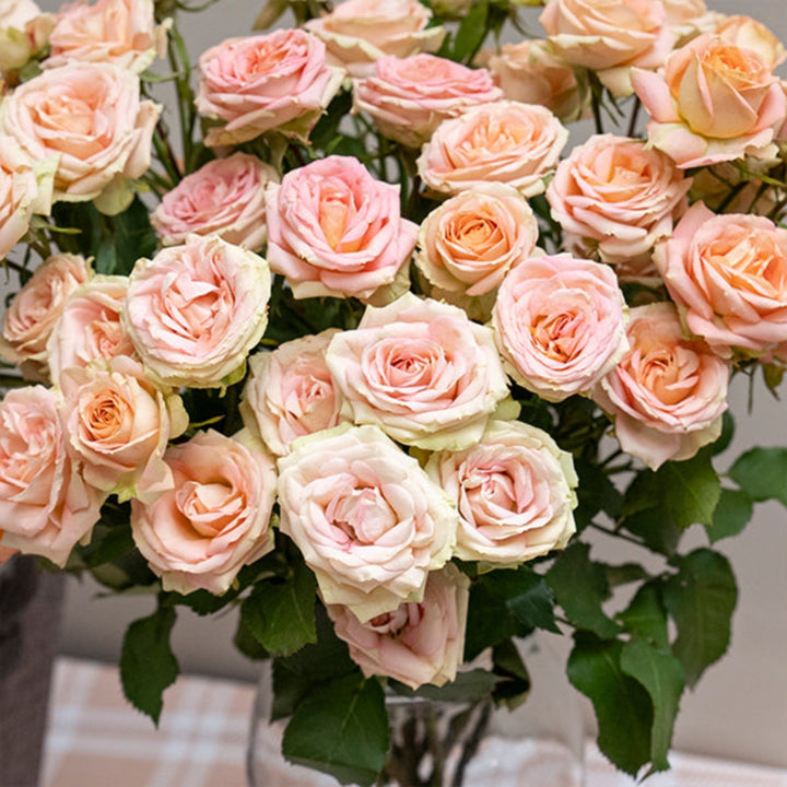 Bouquet of 10 pink Roses Baby Azore cream flowers by SQ Flora Kenya, fresh and vibrant with delicate petals.