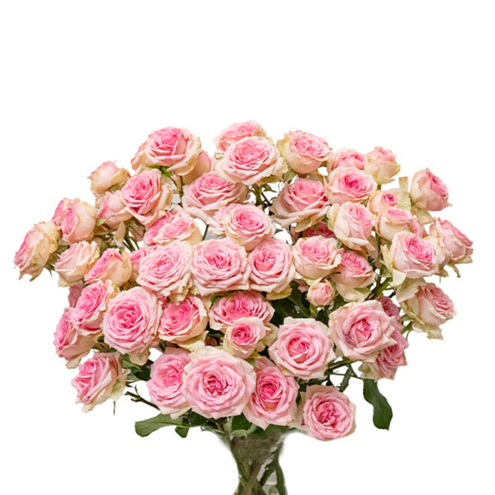 Pink Roses Baby Dinara from Black Tulip, 10 stems of delicate pink flowers arranged in a bouquet.