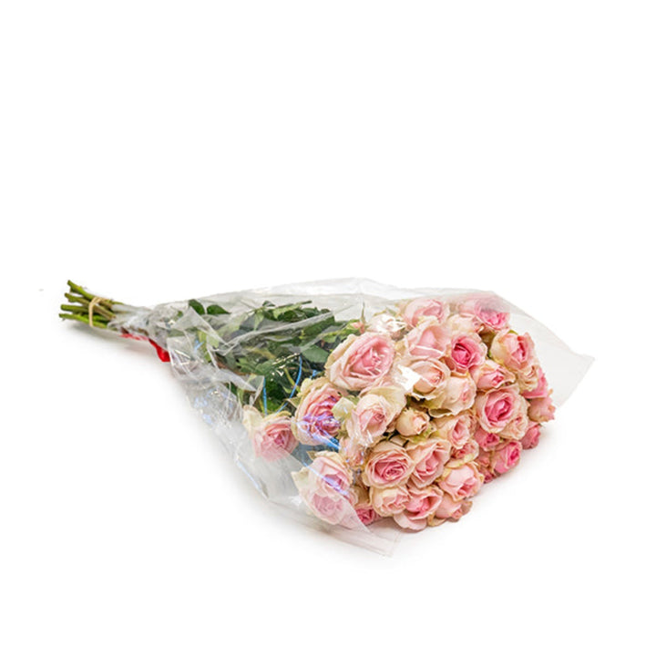 Pink Roses Baby Dinara from Black Tulip, 10 stems of fresh, vibrant flower bouquets, ideal for gifts or decoration.