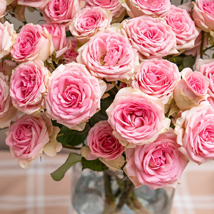 Pink Roses Baby Dinara from Black Tulip, 10-stem bouquet of delicate pink flower stems.