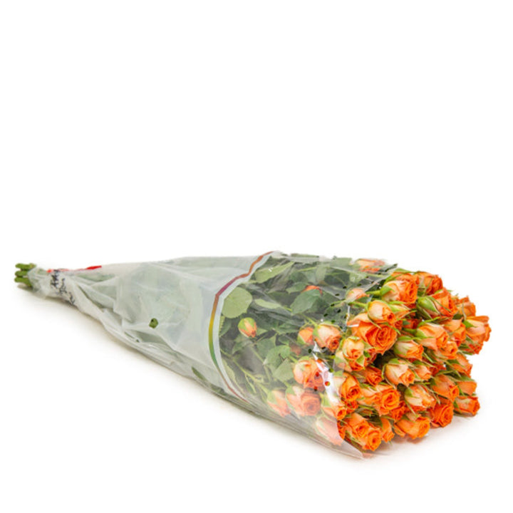 A bunch of 10 orange roses from SQ Flora Kenya, fresh flower stems with vibrant blooms and green leaves.